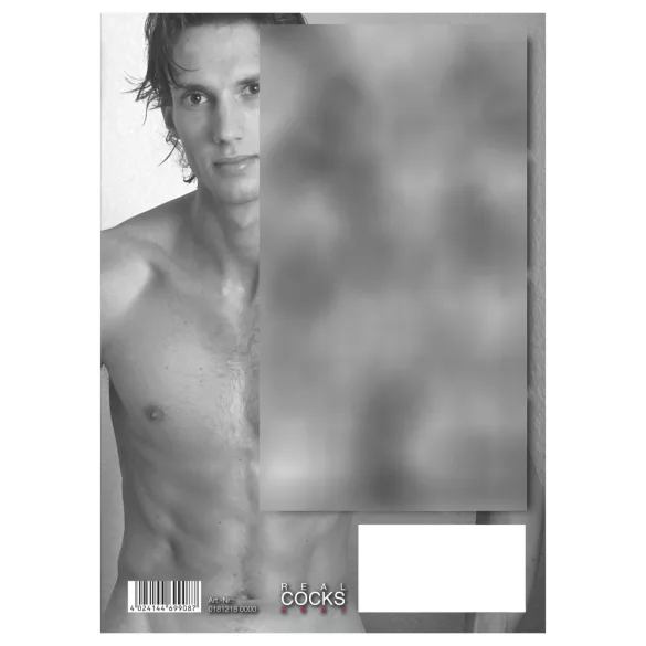 Real Cocks 2027 - erotischer Wandkalender (10 Stk.)