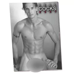 Real Cocks 2027 - erotischer Wandkalender (1 Stk.)