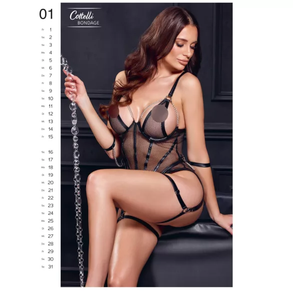 Exclusive Girls 2027 - erotischer Wandkalender (10 Stk.)