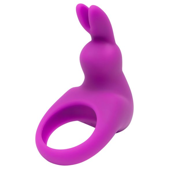 Happyrabbit Cock Kit - Vibrations-Penisring mit Aufbewahrung (lila)