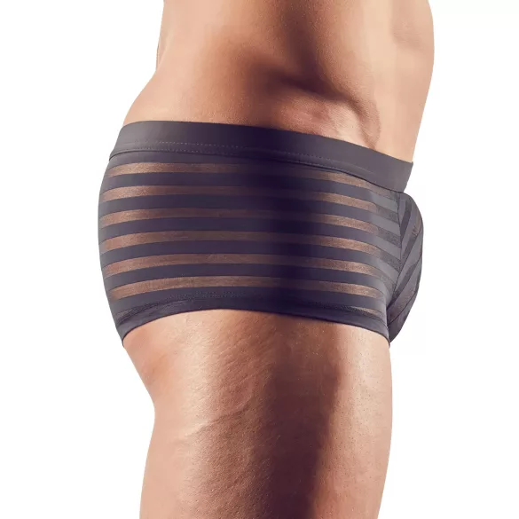 Svenjoyment - Transparente, gestreifte Boxershorts (schwarz) - M