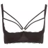 Cottelli Plus Size - Büstenheber mit Trägern und Ringen (schwarz) - 95E