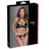Cottelli - Spitzen-Push-Up-Set mit Halsband (schwarz)