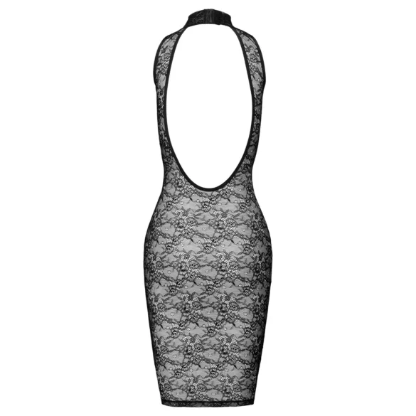 Cottelli - knielanges Spitzenkleid (schwarz) - L