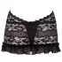 Cottelli - Halsband-Spitzen-Minikleid (schwarz) - XL
