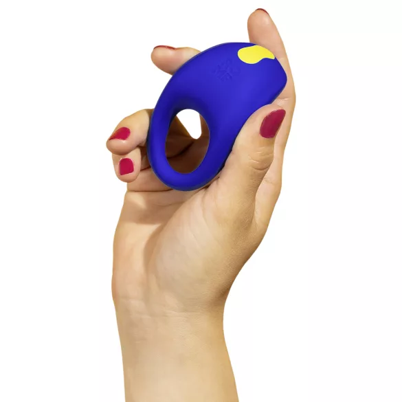 ROMP Pleasure Kit - Vibrator-Set für Paare