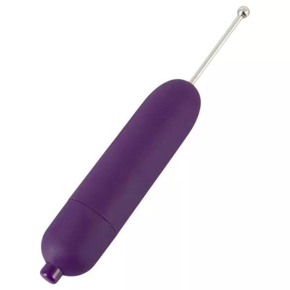 You2Toys - Spot-on Klitoris-Vibrator (lila)