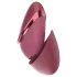 Womanizer Next Liberty - Druckwellen-Klitorisstimulator (rot)