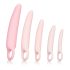 CalExotics Inspire - Vaginaldilatator-Set für Wohlbefinden (Pink)