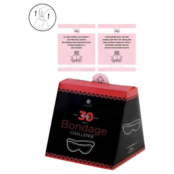 Secret Play 30 Day Bondage Challenge - Bondage-Herausforderung Kartenspiel (Englisch, Spanisch)