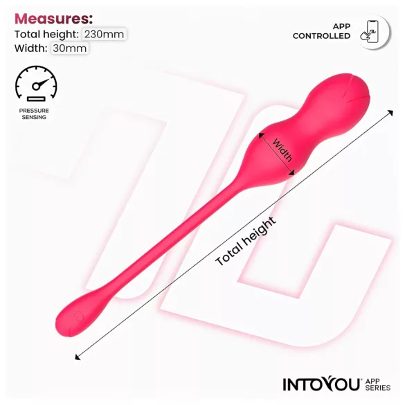 INTOYOU Kyra Beckenboden - Smartes, vibrierendes Kegelduo (Pink)