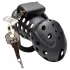 Master Series Lock Down - belüfteter Peniskäfig (schwarz)