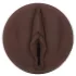 Fleshlight Nicole Kitt Purrrrrfection - Masturbator - Vagina
