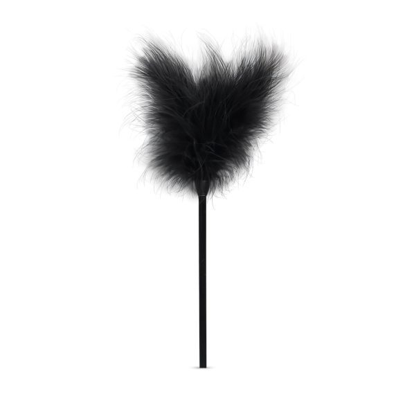 Secret Pleasure Chest - Fortgeschrittenes 14-teiliges BDSM-Set (schwarz)