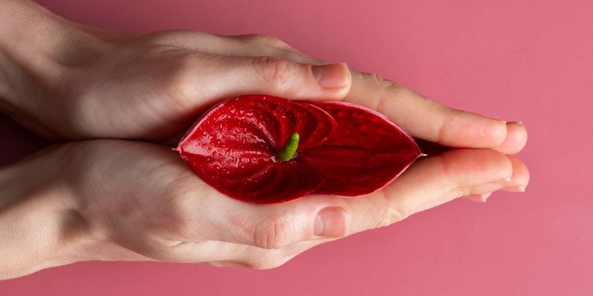 Klitorale Stimulation mit einem diskreten Lust-Toy, lovesexshop.ch Sexshop